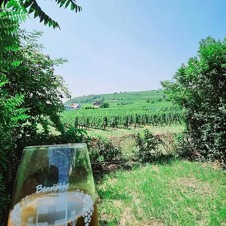 La Signature D'alsace Ferienhaus Bennwihr